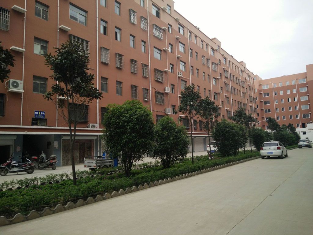 sj8.jpg