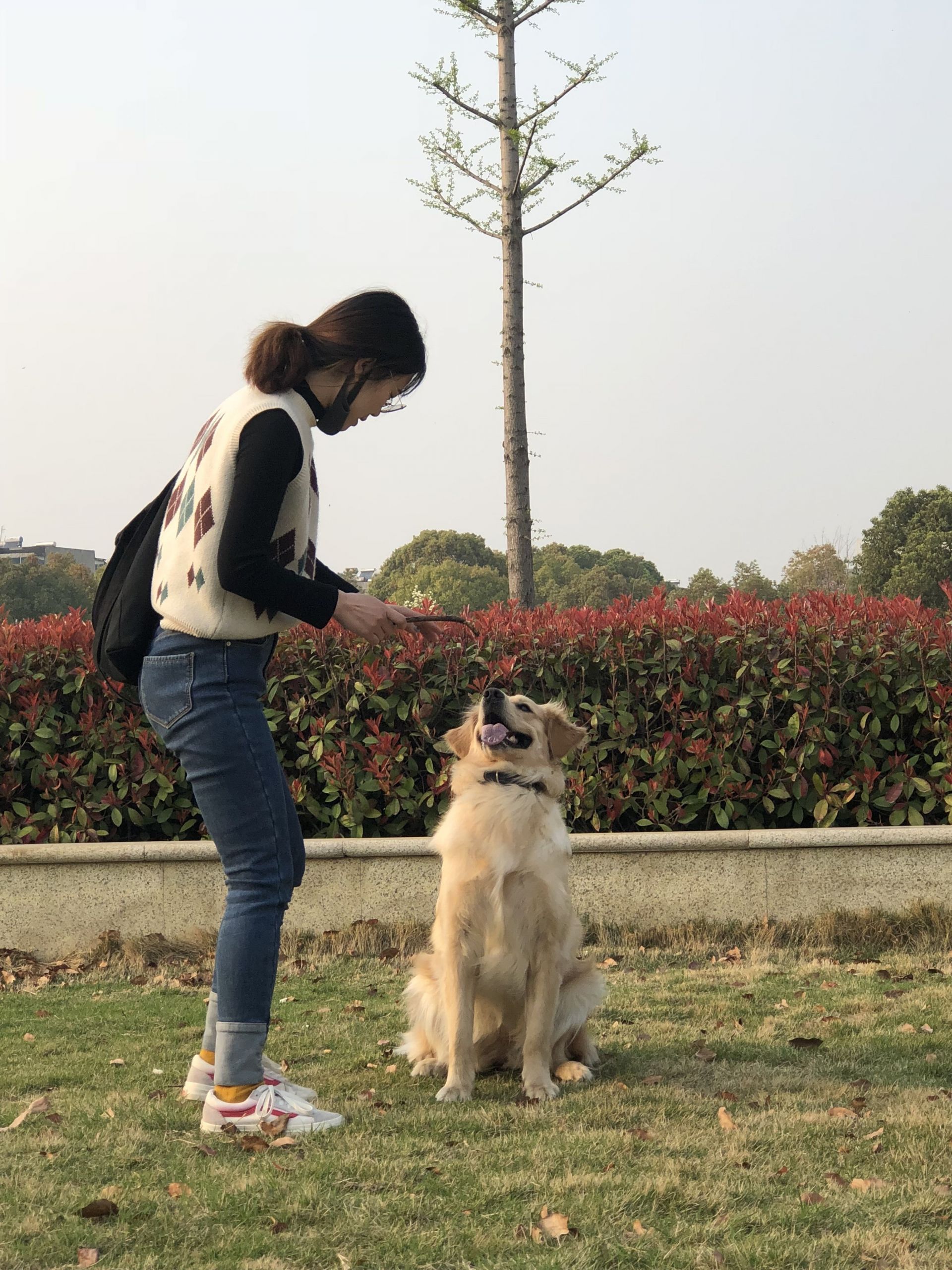 QQ图片20180401213040.jpg