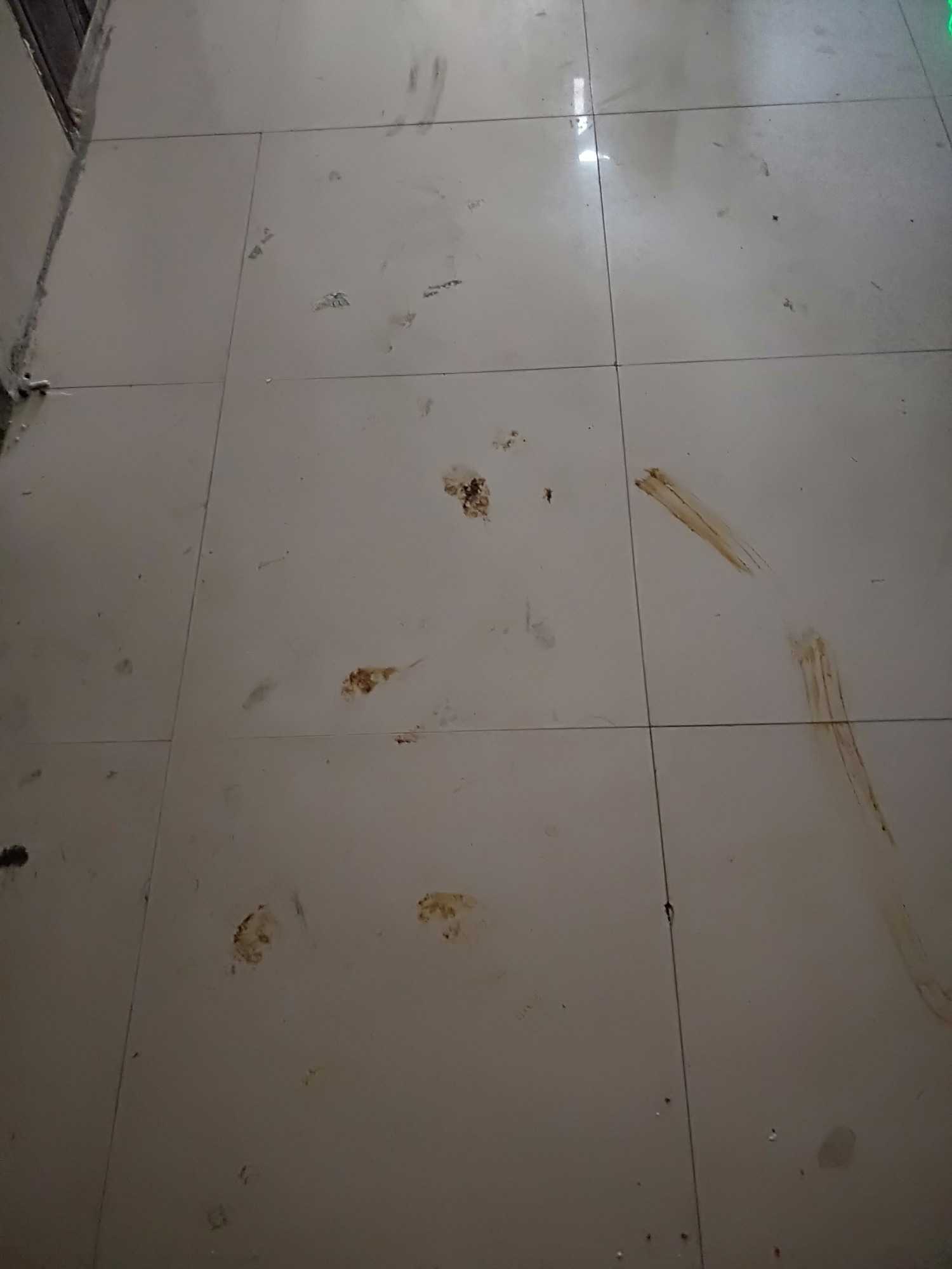 IMG20180418085829.jpg