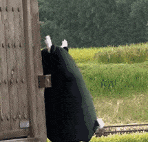 5efac55cb77e445afa5817464eddfbe7.gif