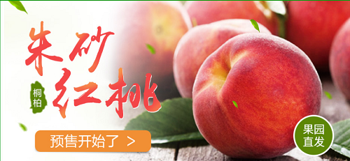 朱砂红桃 血桃.png