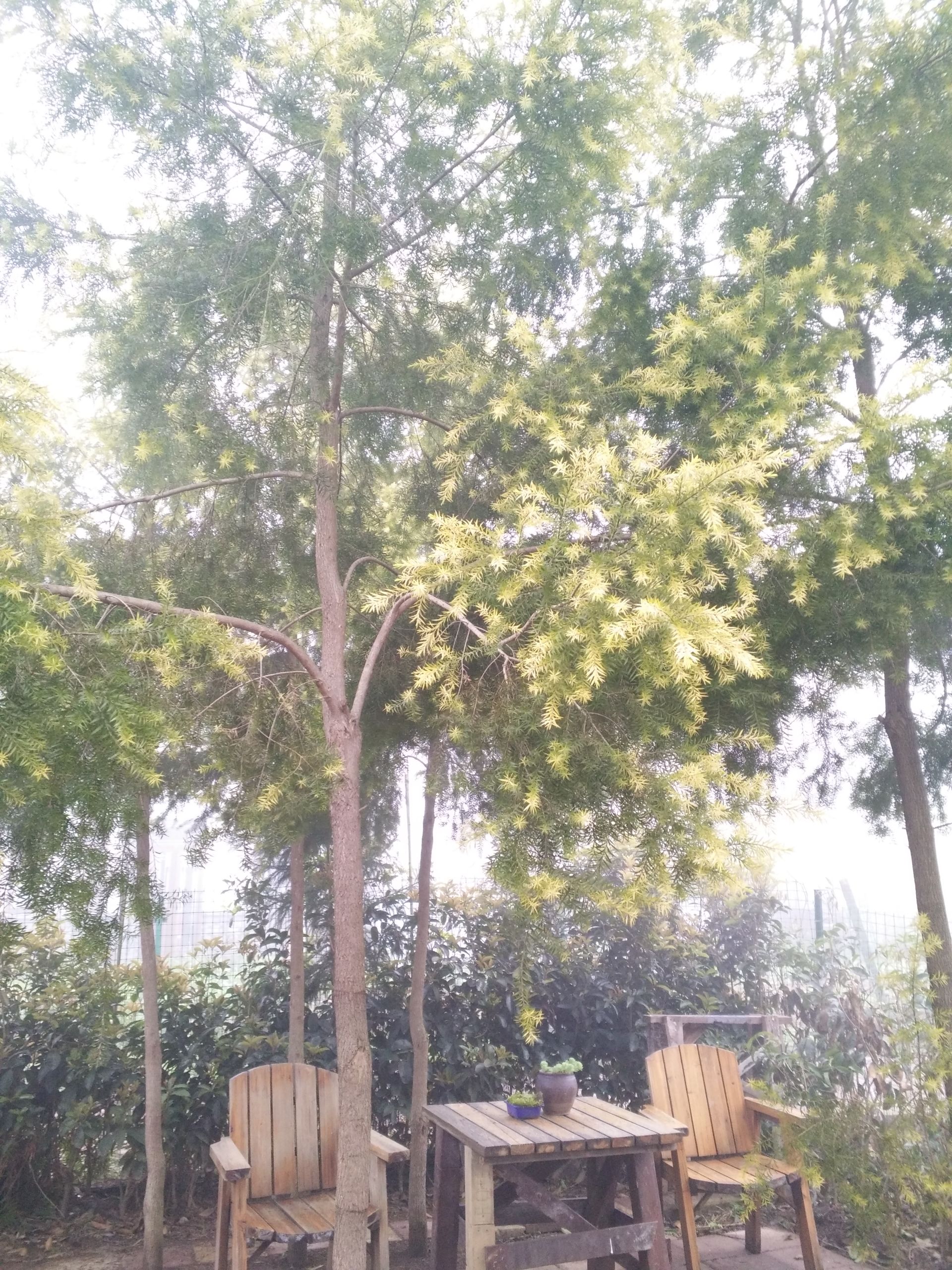IMG20180320073100.jpeg.jpg