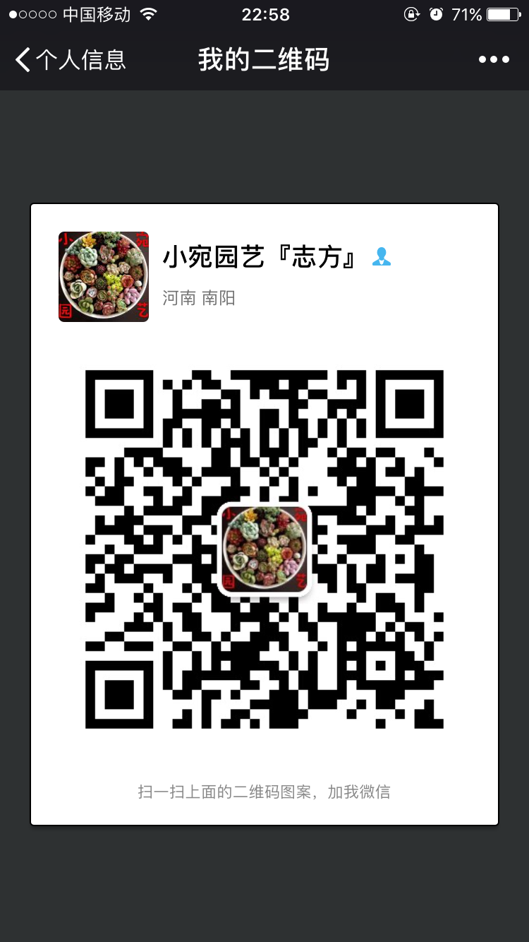IMG_4134.PNG