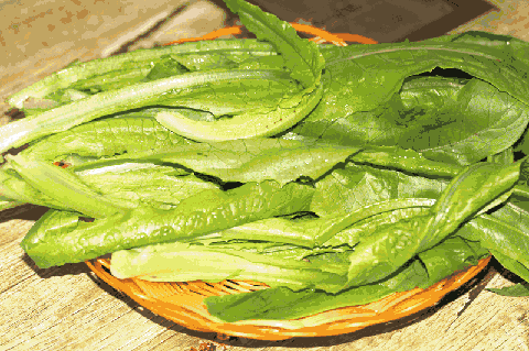 dd7260c1edf8d48d1024b5adabb4c4a1.gif