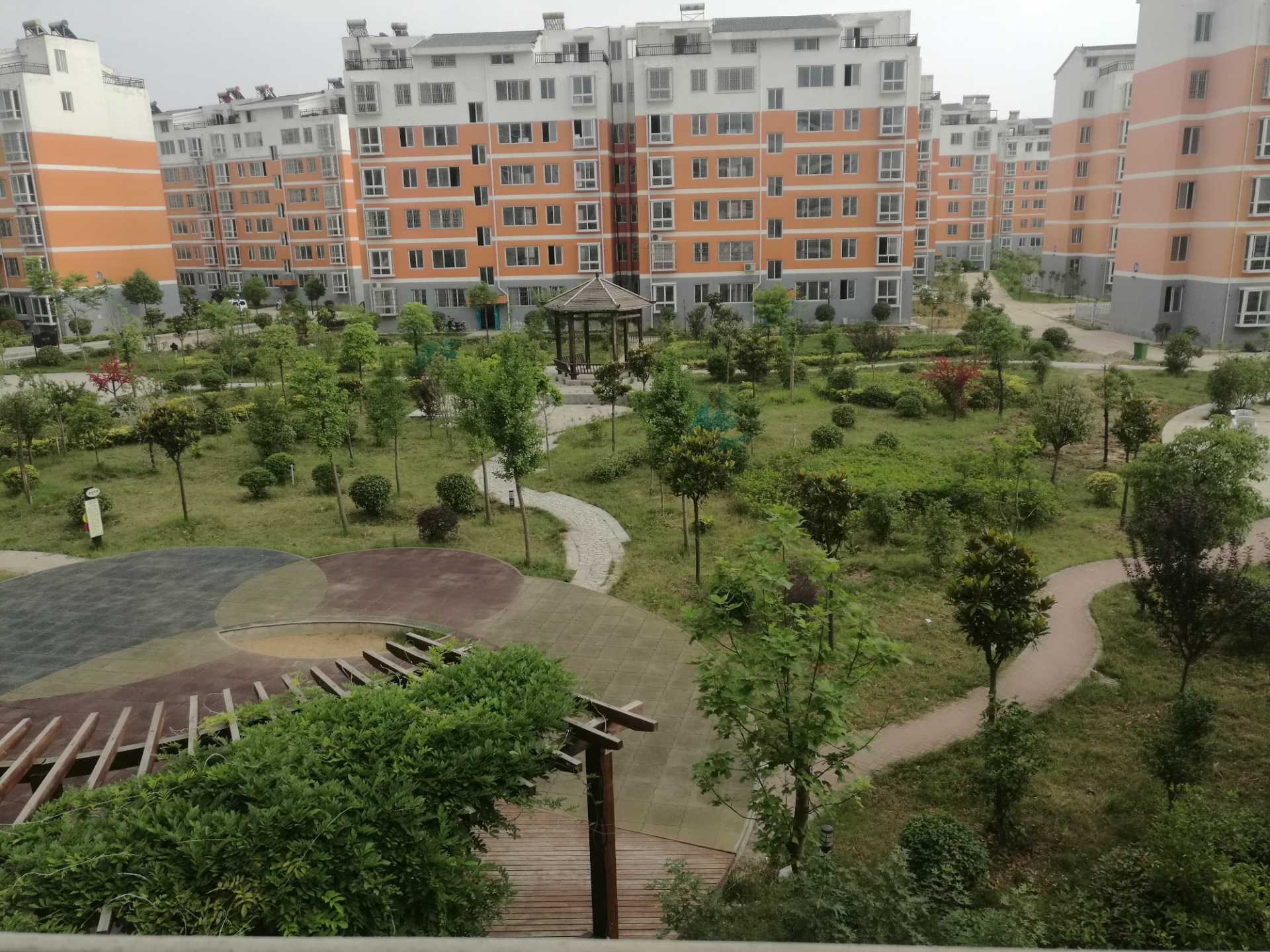 IMG_20180602_165705.jpg