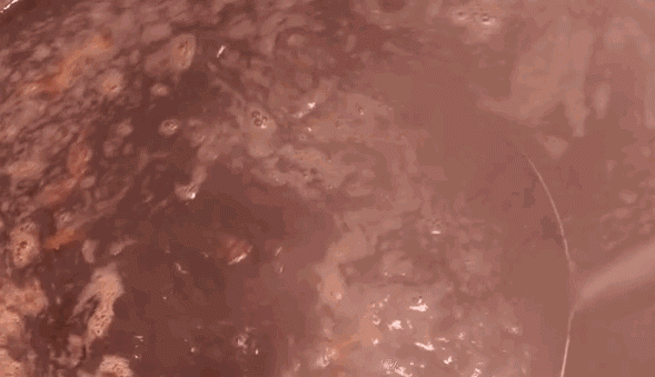 e429baf2f6e427ef7cf9e78395f0d7a4.gif