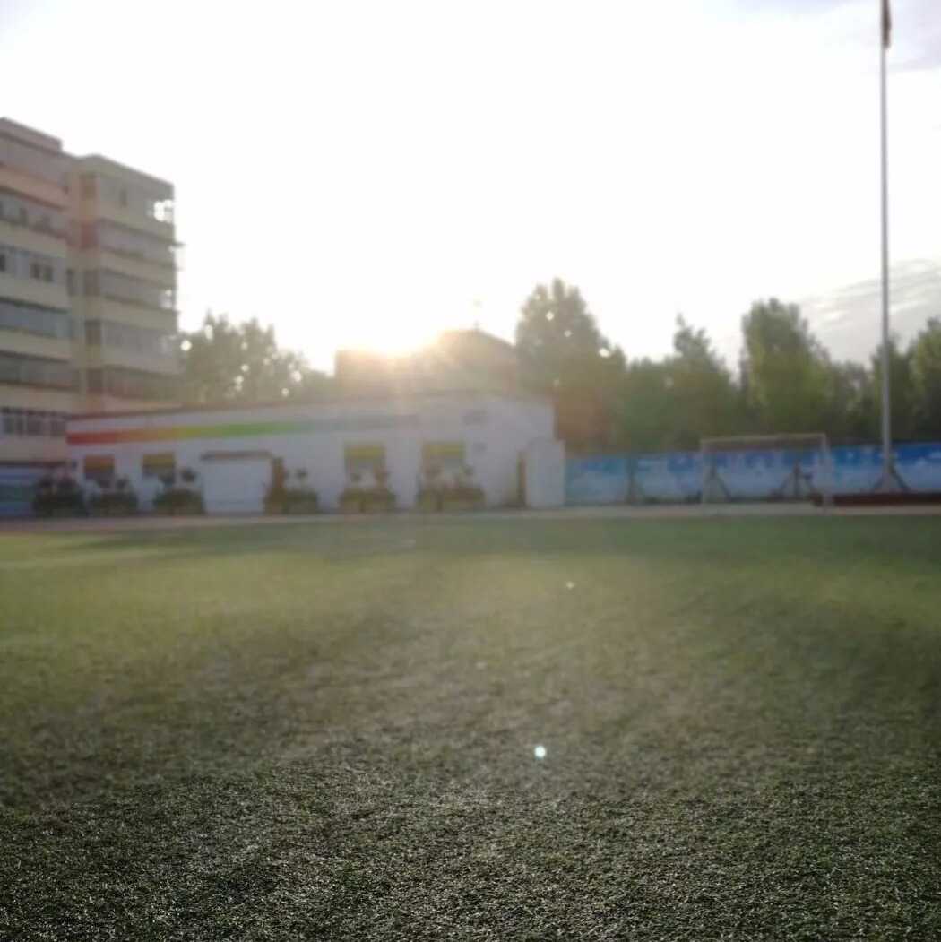 IMG_20180727_172423.jpg