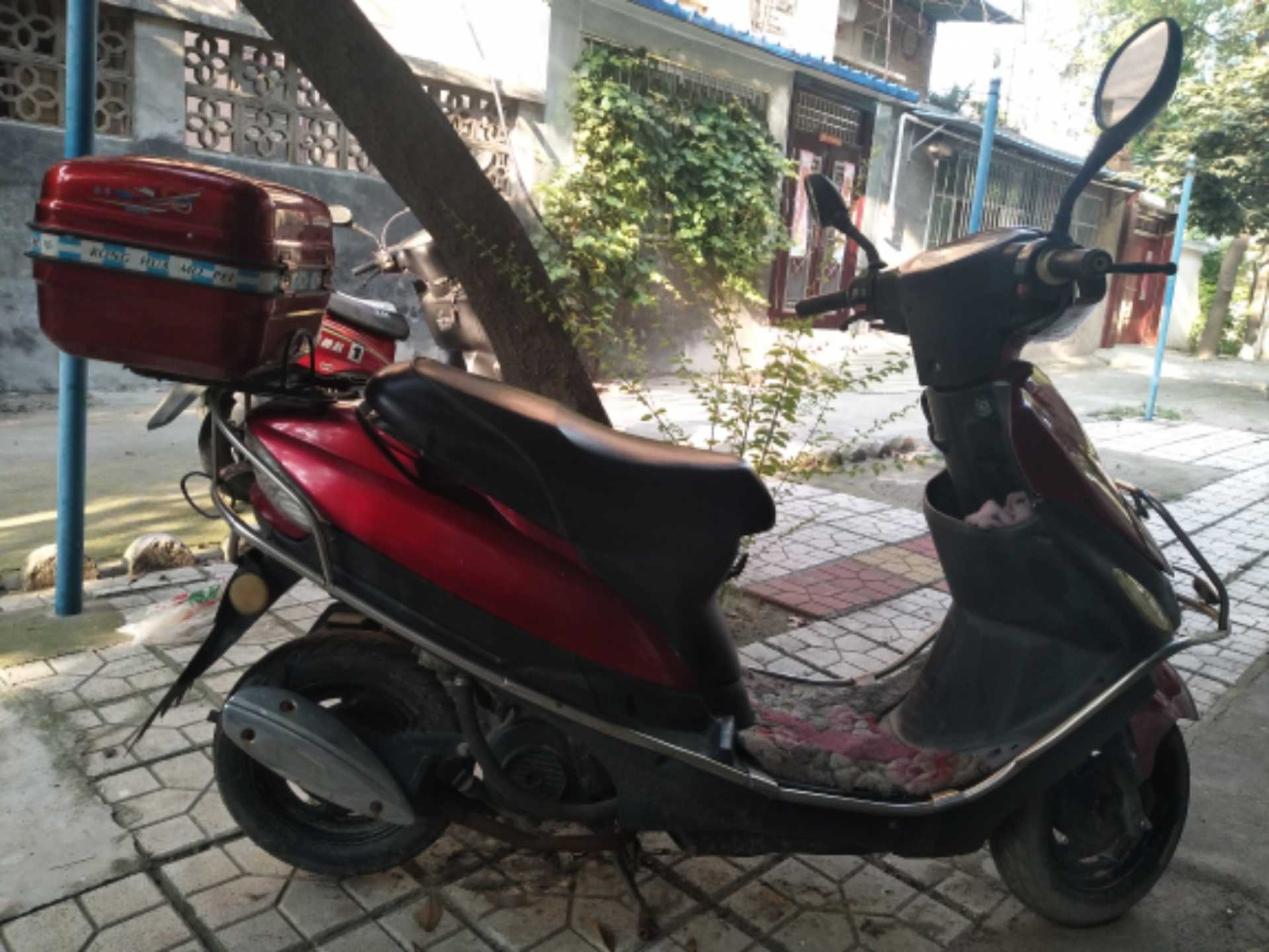 IMG_20180808_172955.jpg