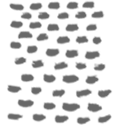 c886925a3418a58e99d1bb6c13e2635f.png