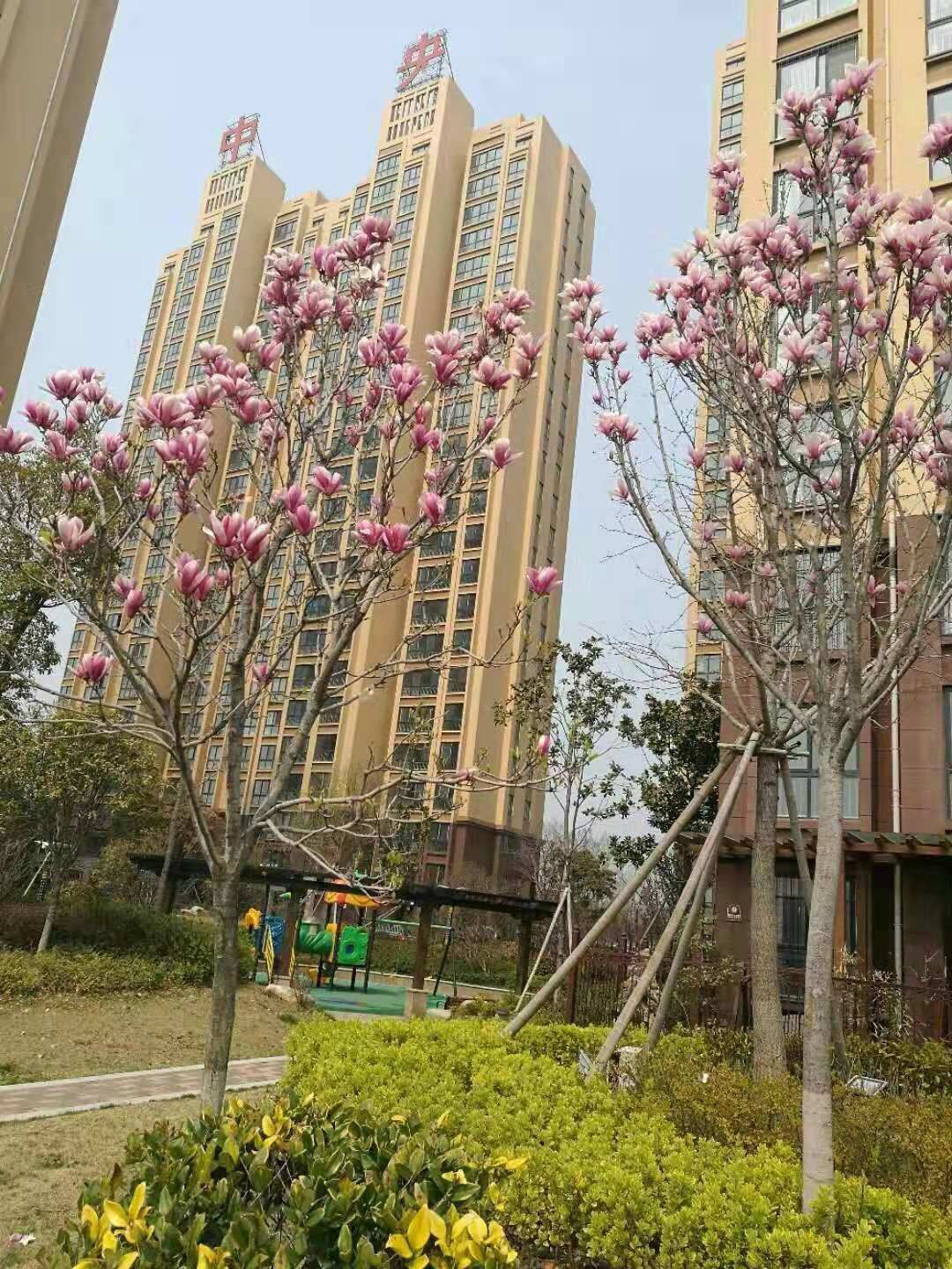 小区环境
