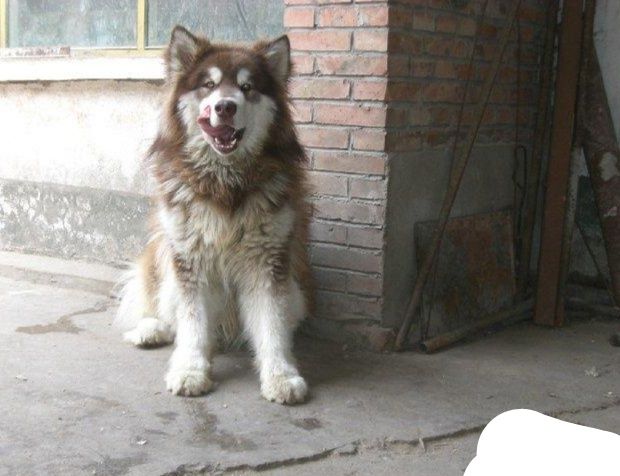 微信图片_20190117102023.jpg