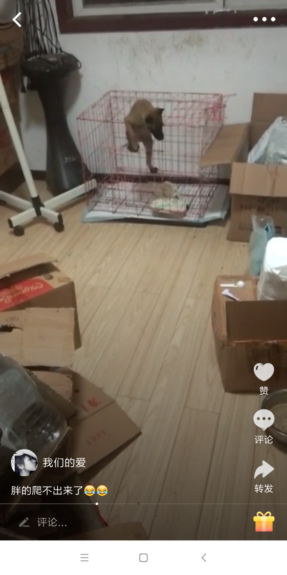Screenshot_2019-01-23-08-14-43-256_com.tencent.mobileqq.png