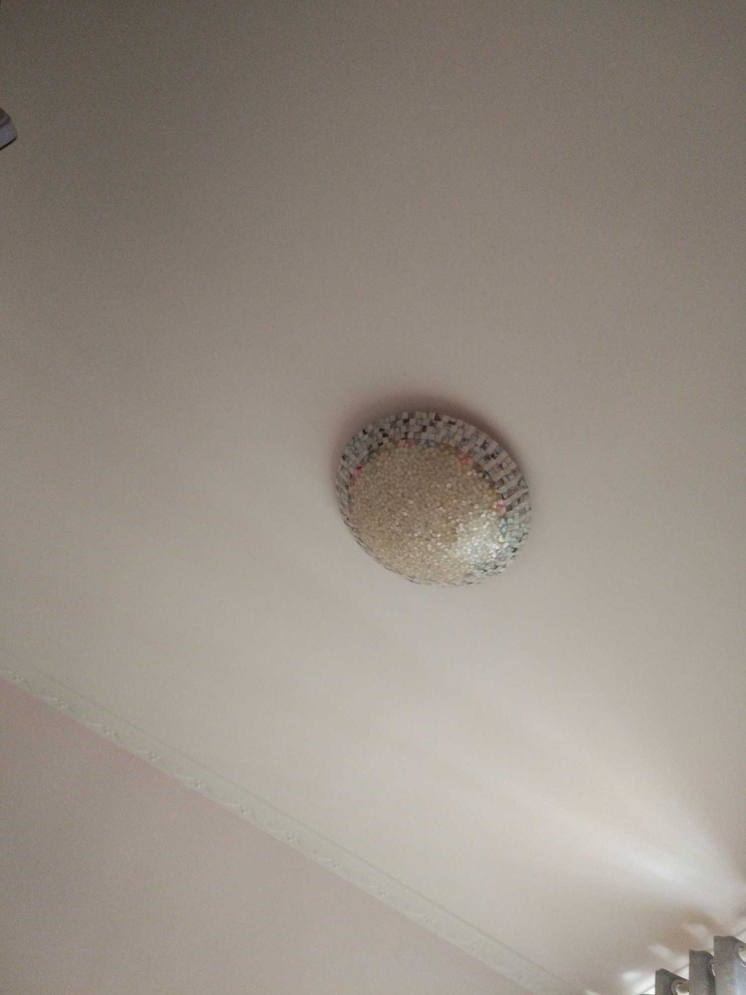 1548394571618..jpg