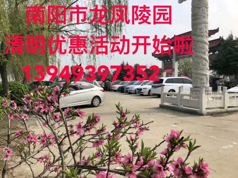 mmexport1549780917535.jpg