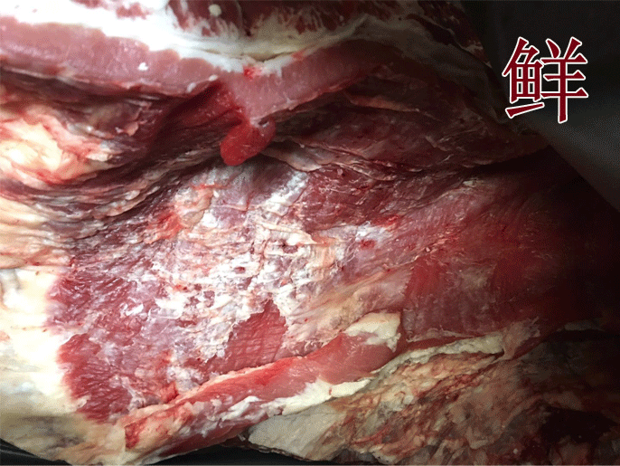 5cff874f366d0300aed6263c76c8e6f0.gif