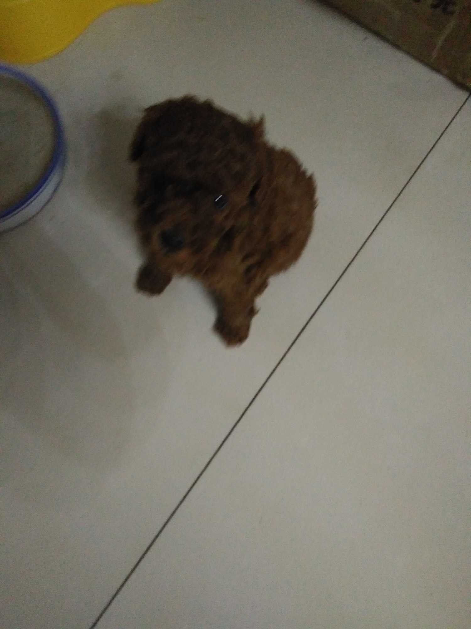 IMG20190311205722.jpg