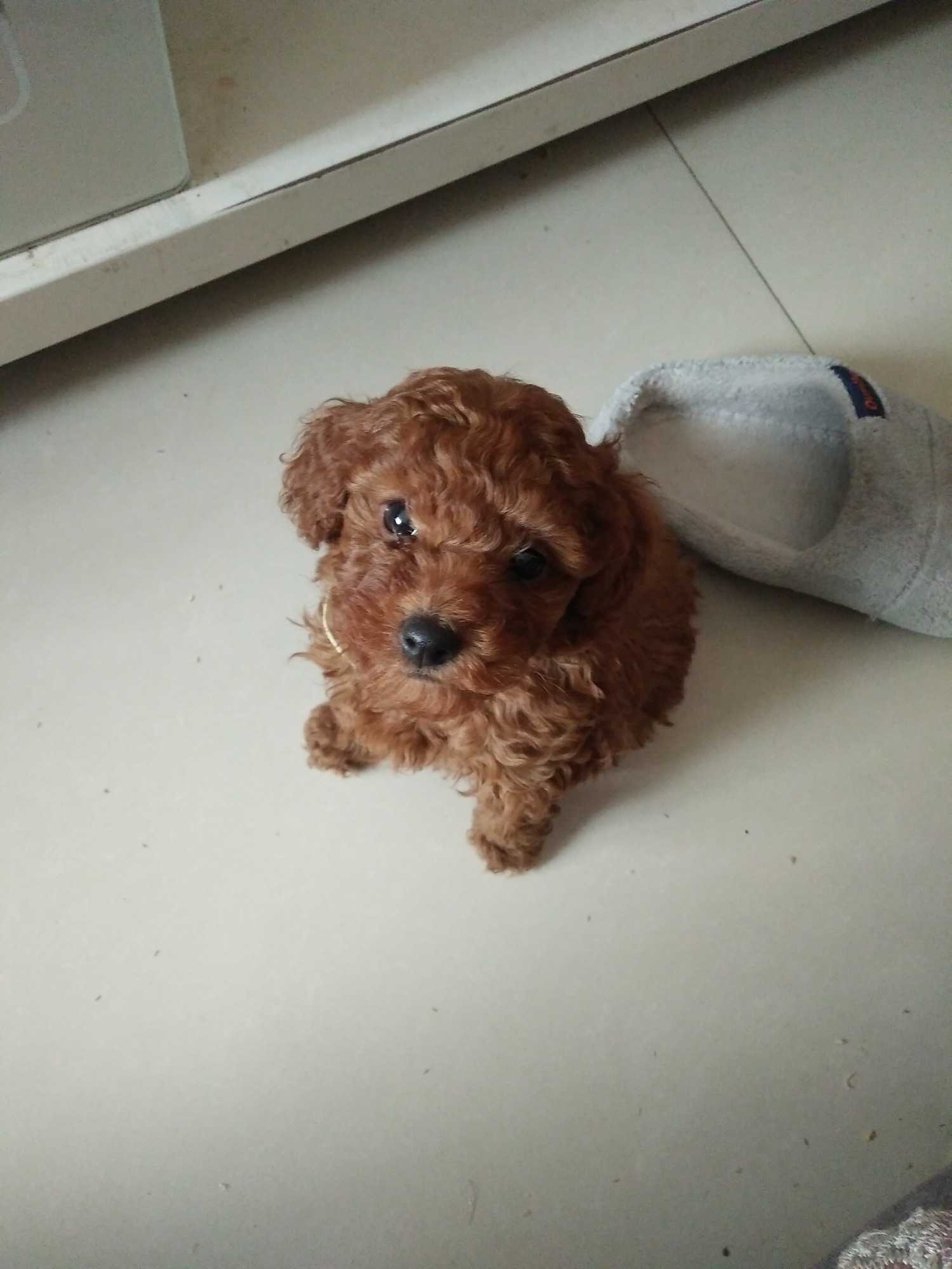 IMG20190313123525.jpg