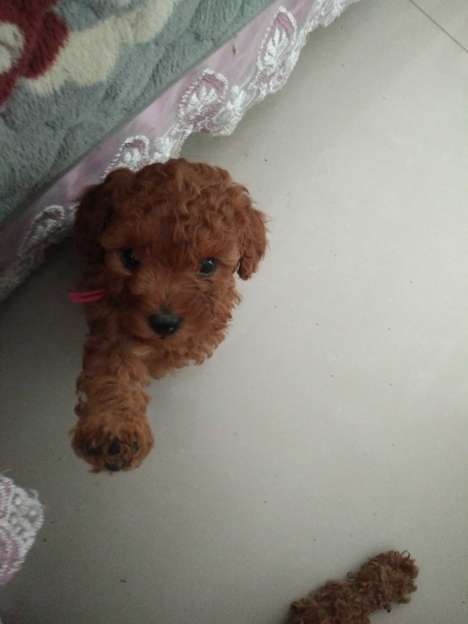 IMG20190313123535.jpg