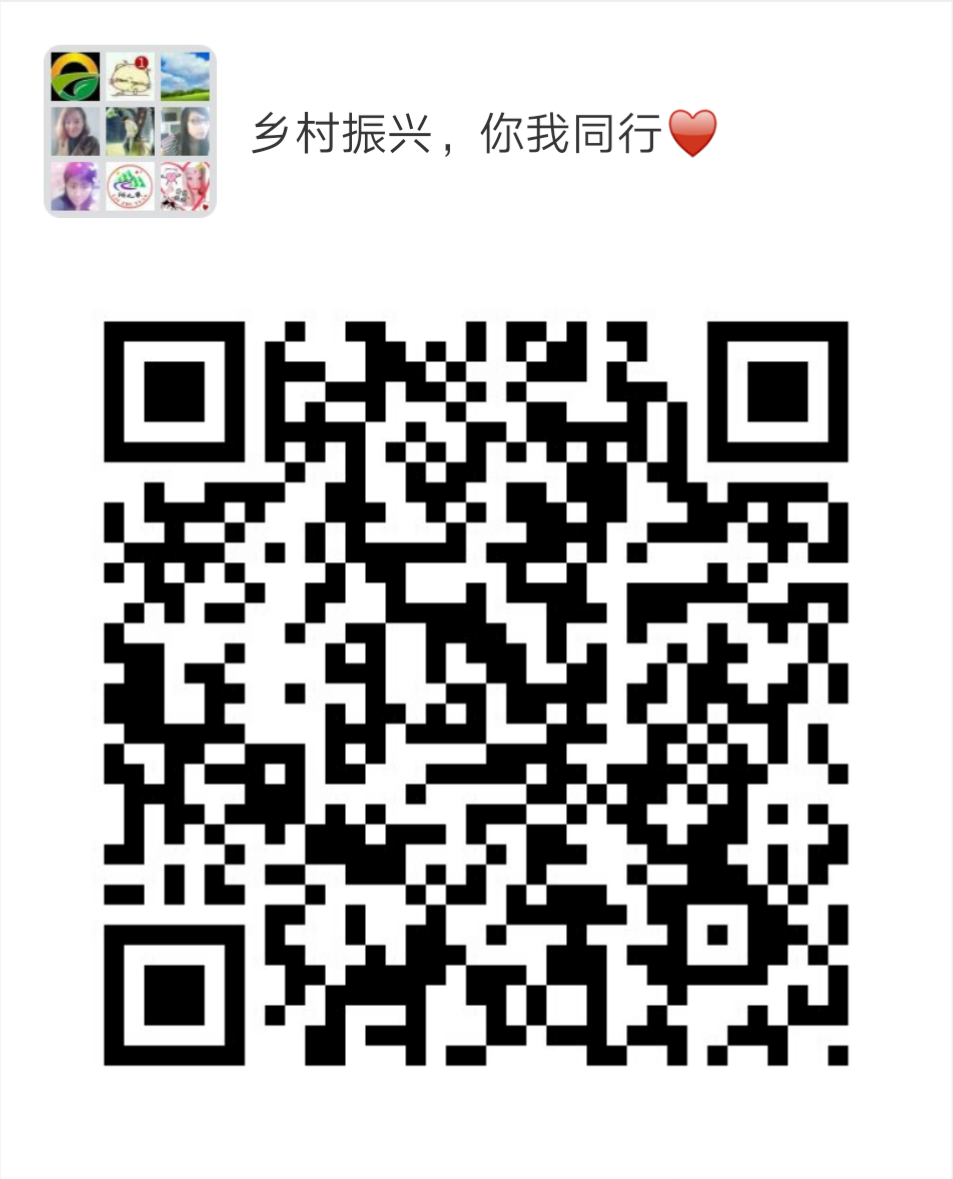 乡村振兴，你我同行1.png