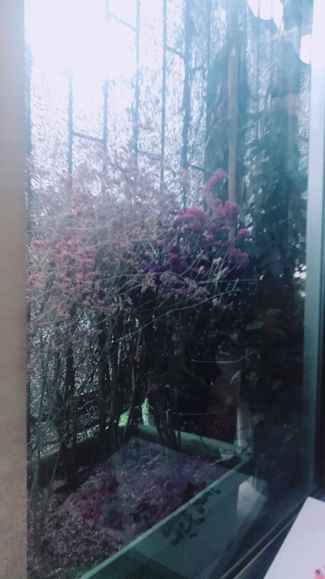 微信图片_20190423083928.jpg