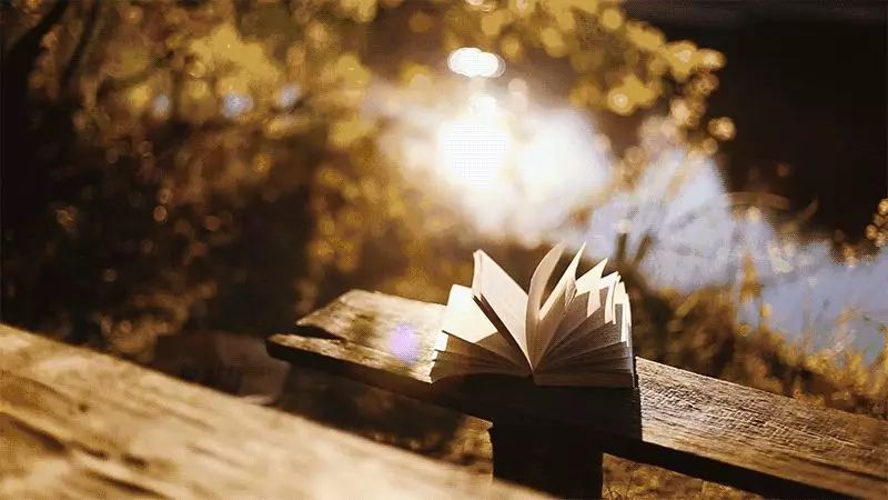 85685_看图王.web.jpg