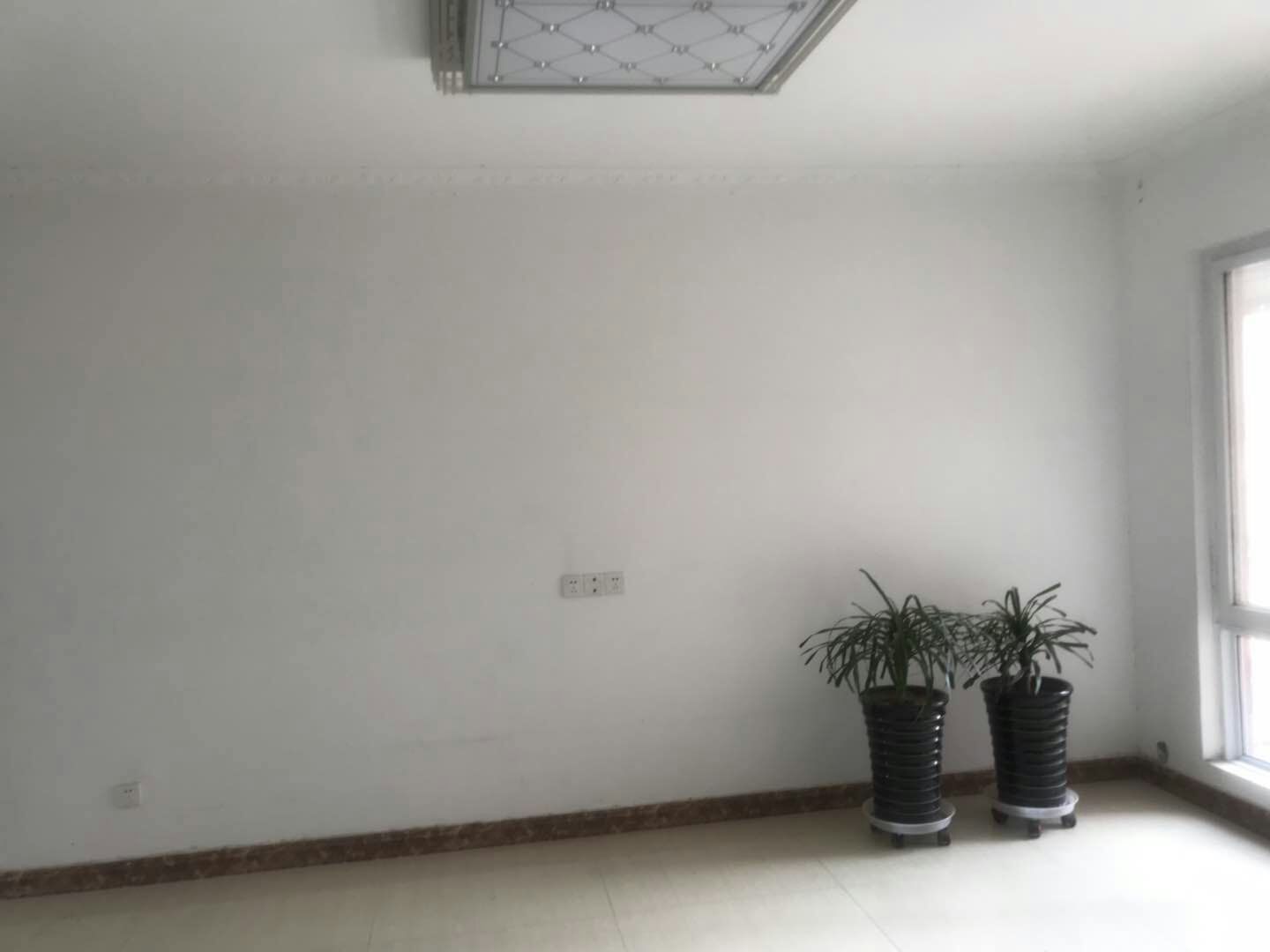 微信图片_20190515213425.jpg