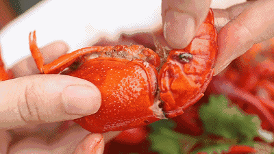 c9bae4359cf3eef6350e27583ab1ca40.gif