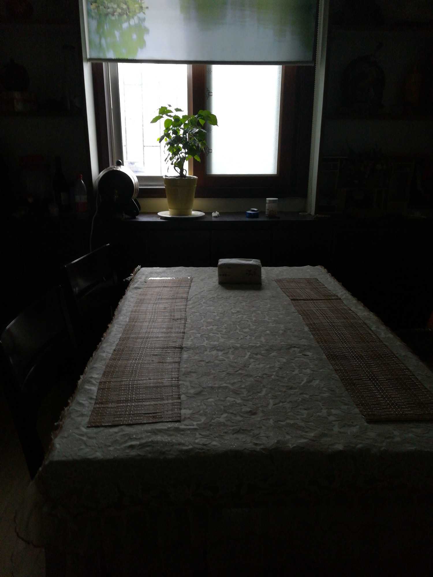 1564472042187.jpg