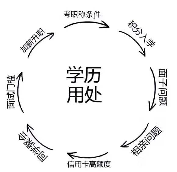 mmexport1564621570676.jpg