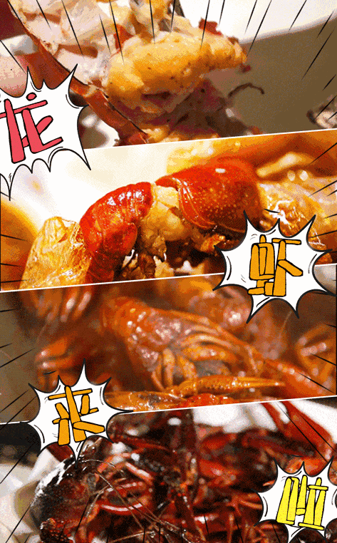 9ce45f96750454b6b6a0be7caf74a7f2.gif