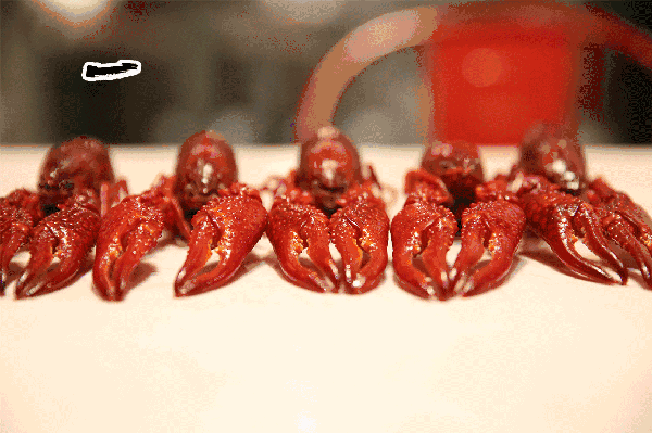 fac7a7cb37edfacd3943bf5d9386430d.gif