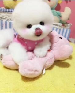 QQ图片20190906212030.jpg