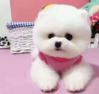 QQ图片20190906212139.jpg