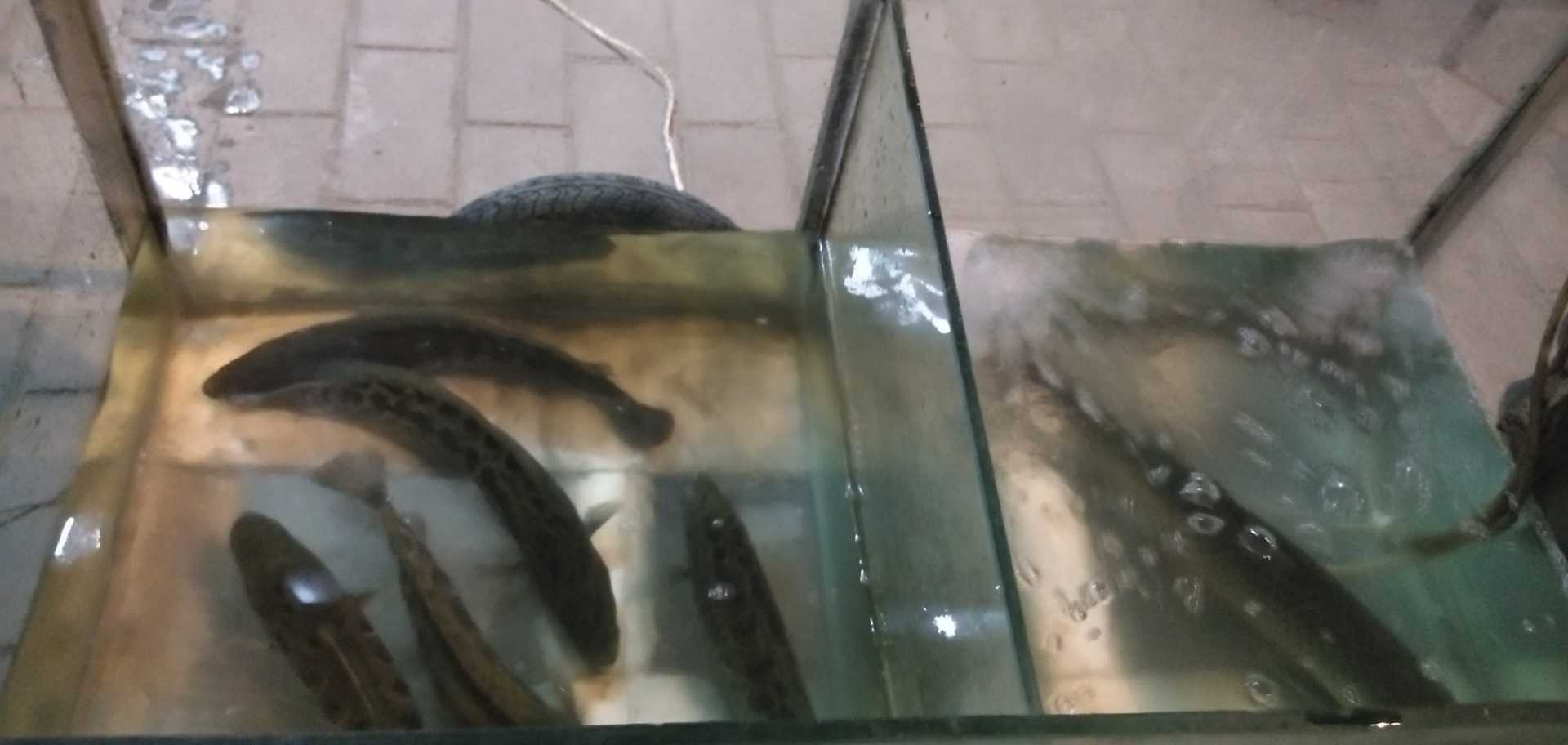 1569841024179.jpg