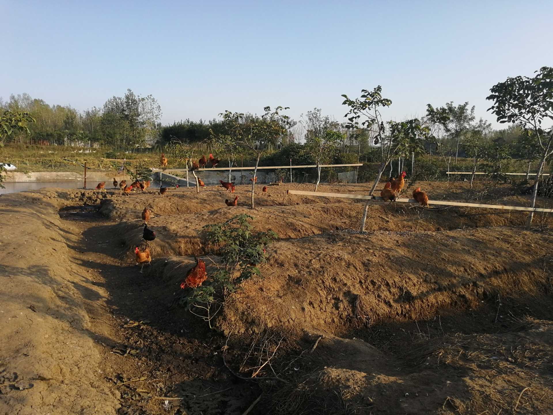 IMG_20191018_164413.jpg