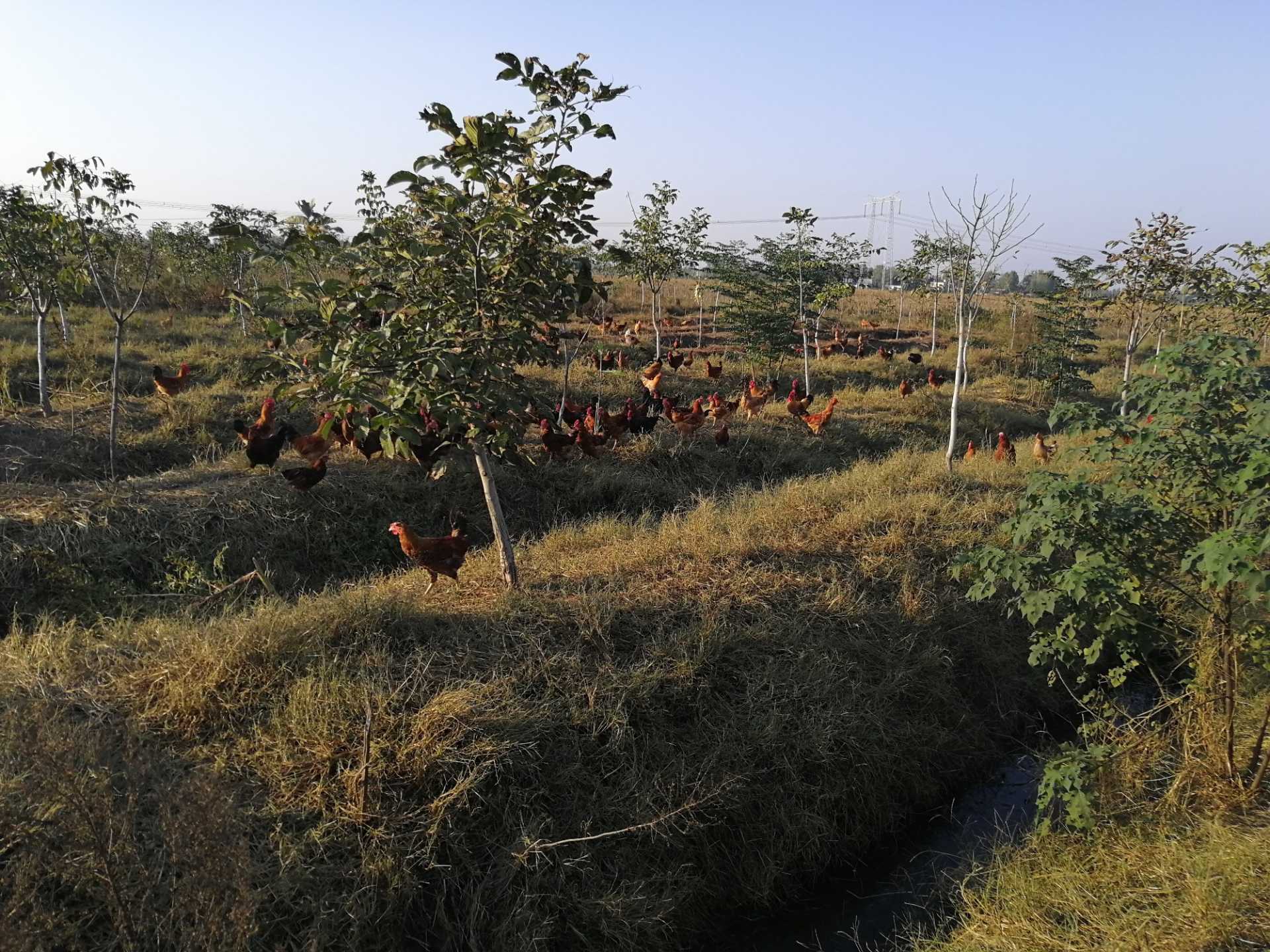 IMG_20191018_164105.jpg
