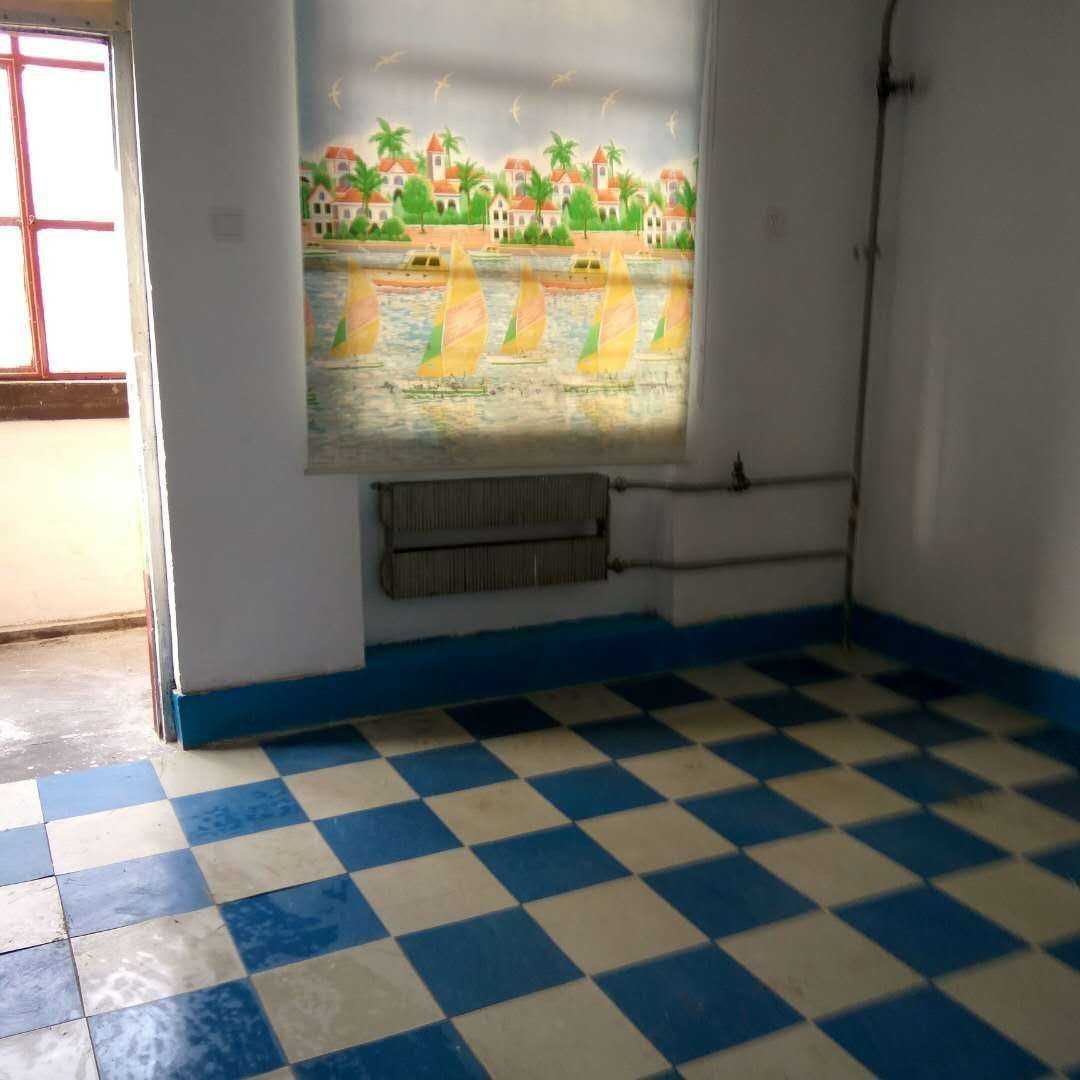 mmexport1574413066593.jpg