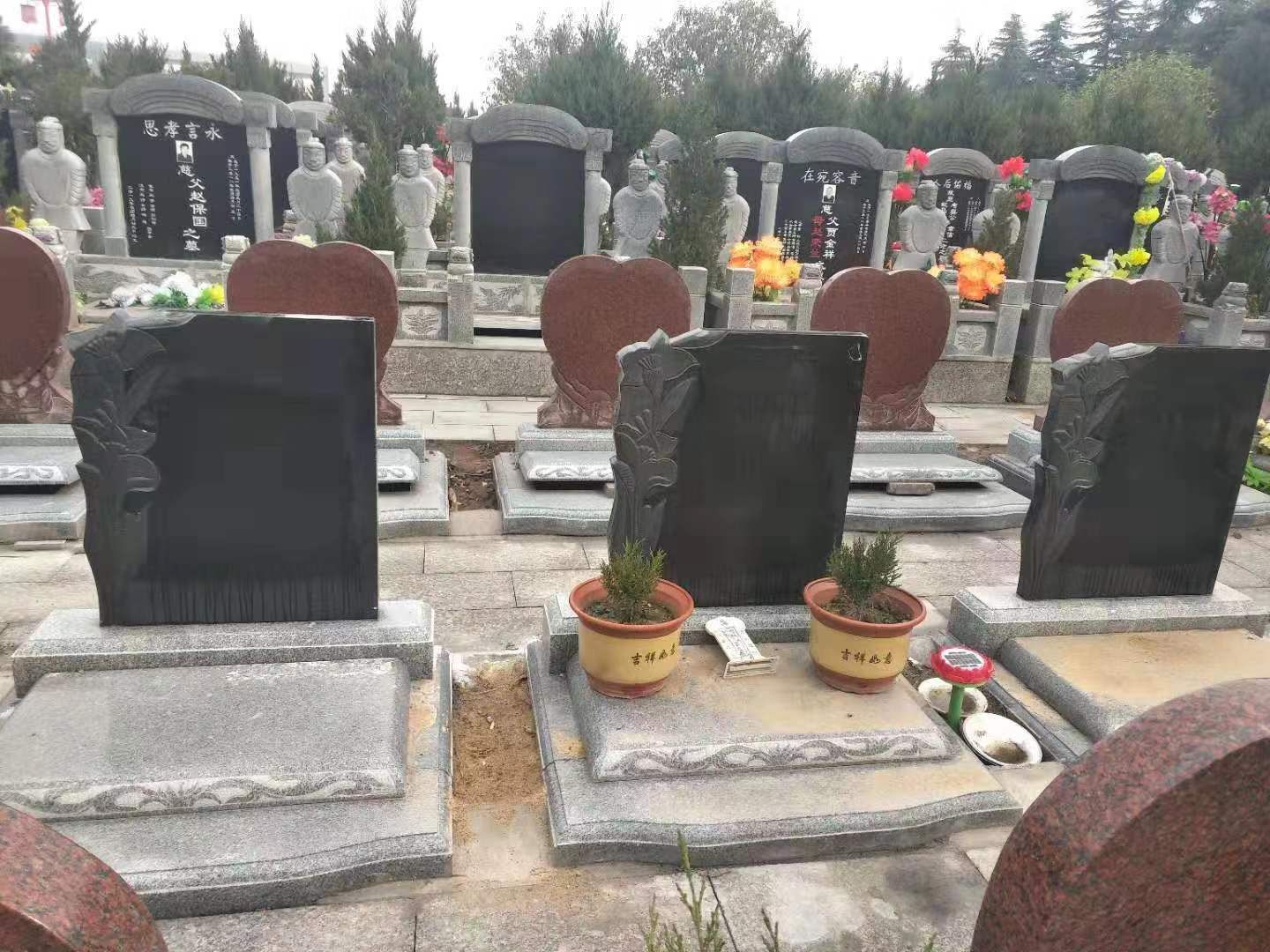 微信图片_20200110161108.jpg