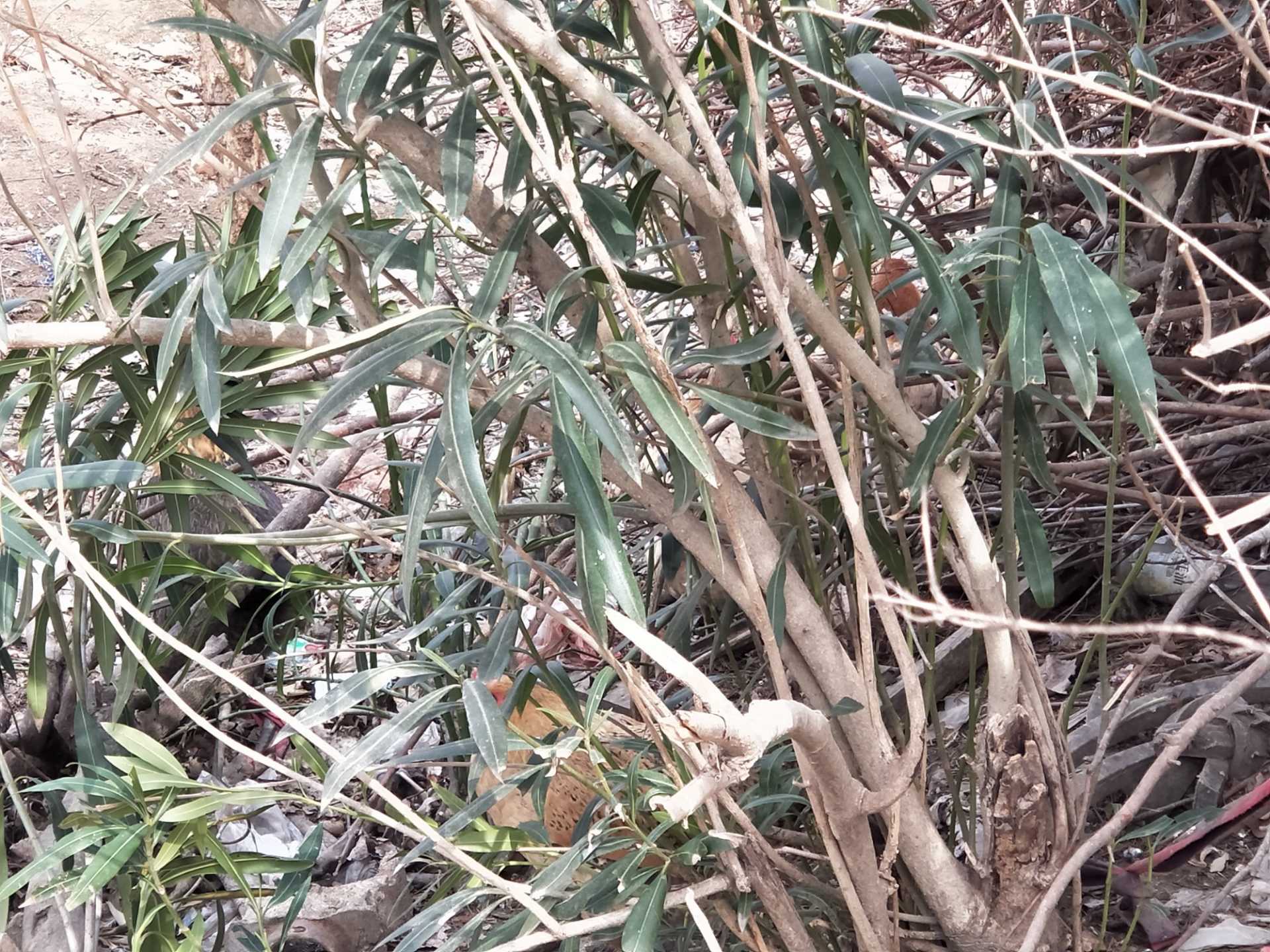 IMG20200219111906.jpg