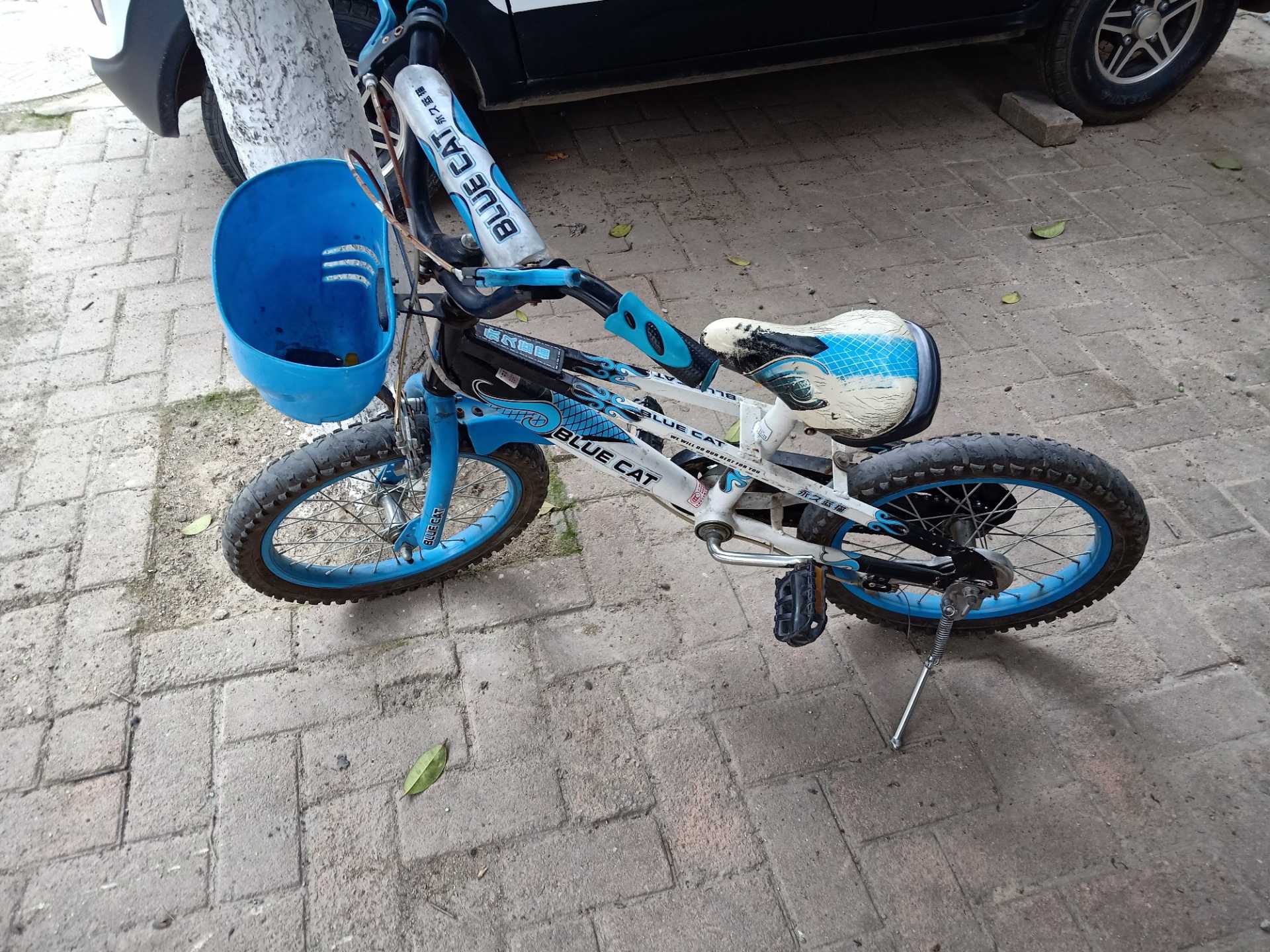 IMG20200308094101.jpg