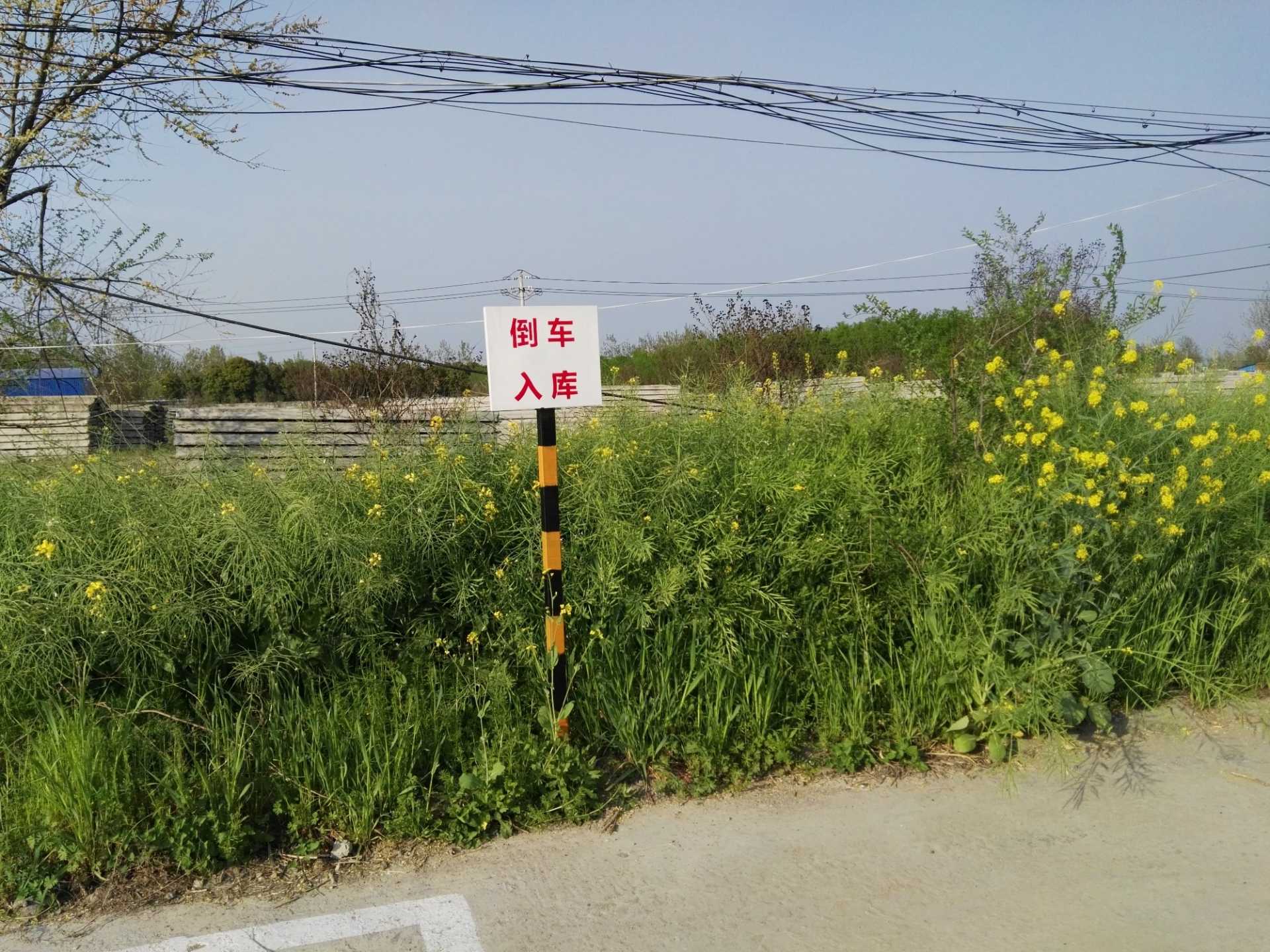 IMG_20200406_170856.jpg