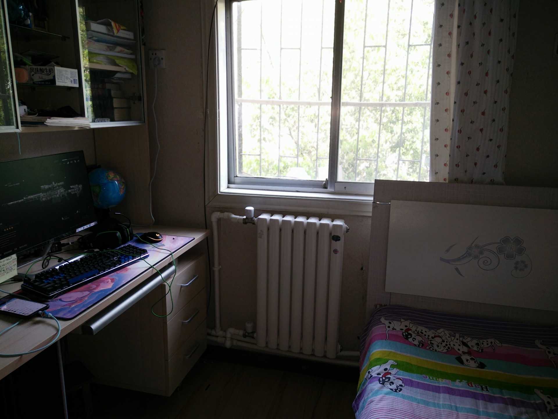 IMG20200411124951.jpg