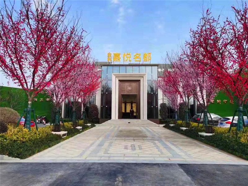 金科嘉悦名都05.jpg
