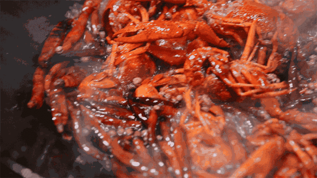 b3f29b6bcd87ac9954333112f6165264.gif