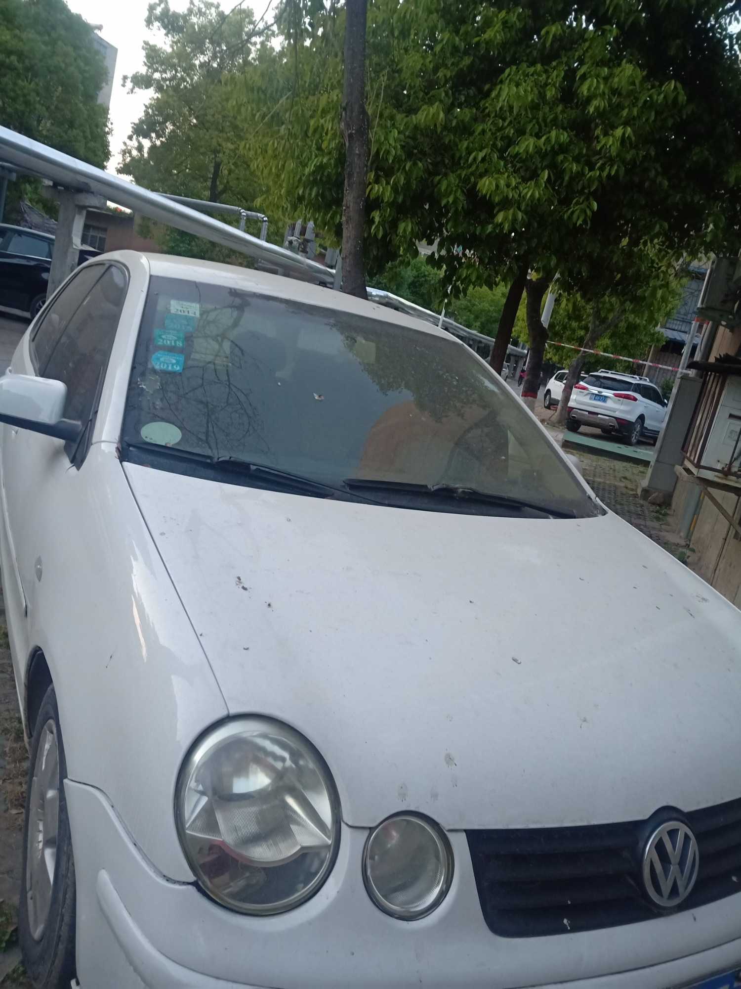 IMG20200428191156.jpg