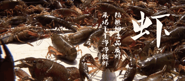 f55827ee6af703bb87650d0a1a484d95.gif