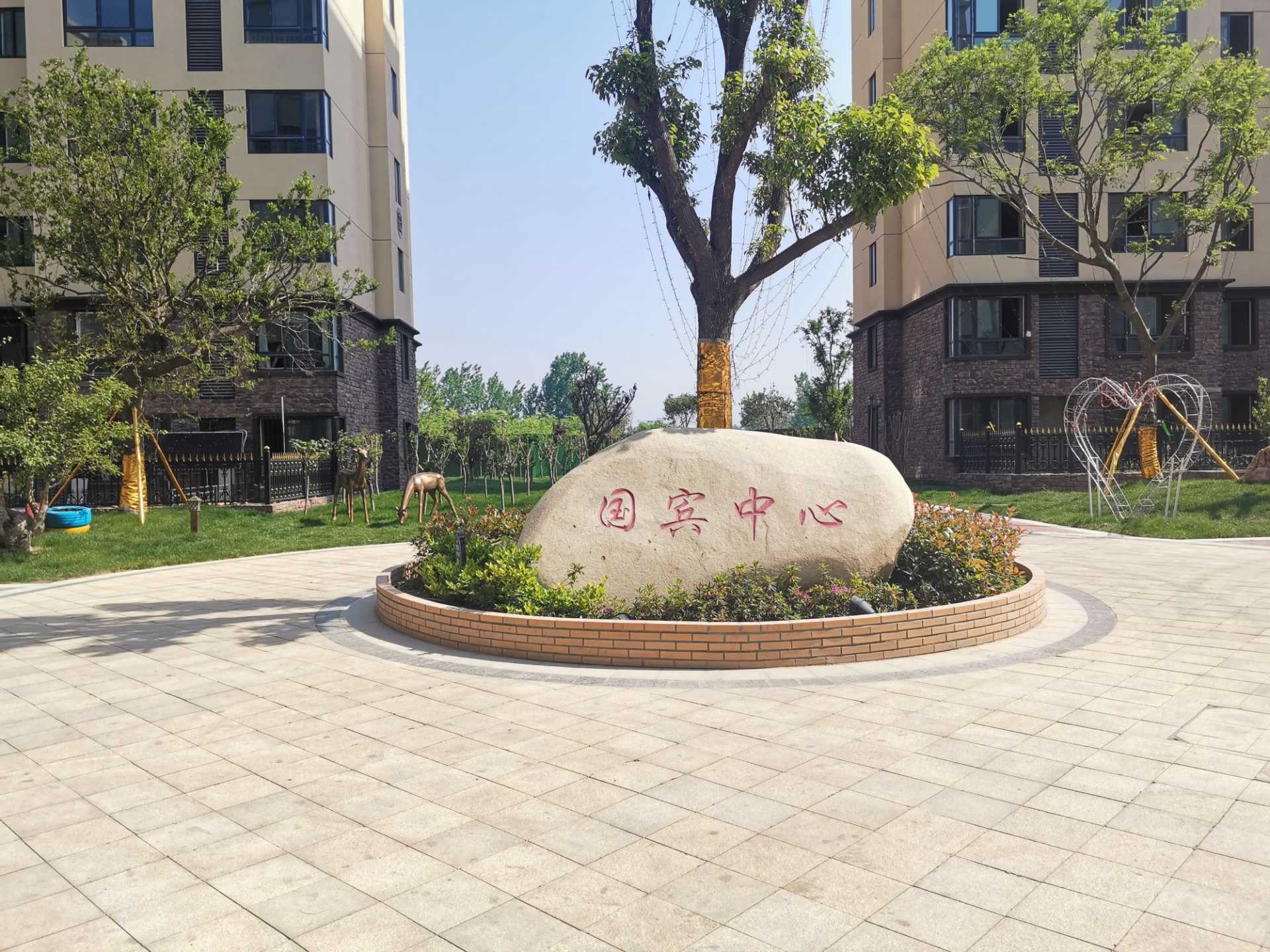 IMG_20200503_093517.jpg