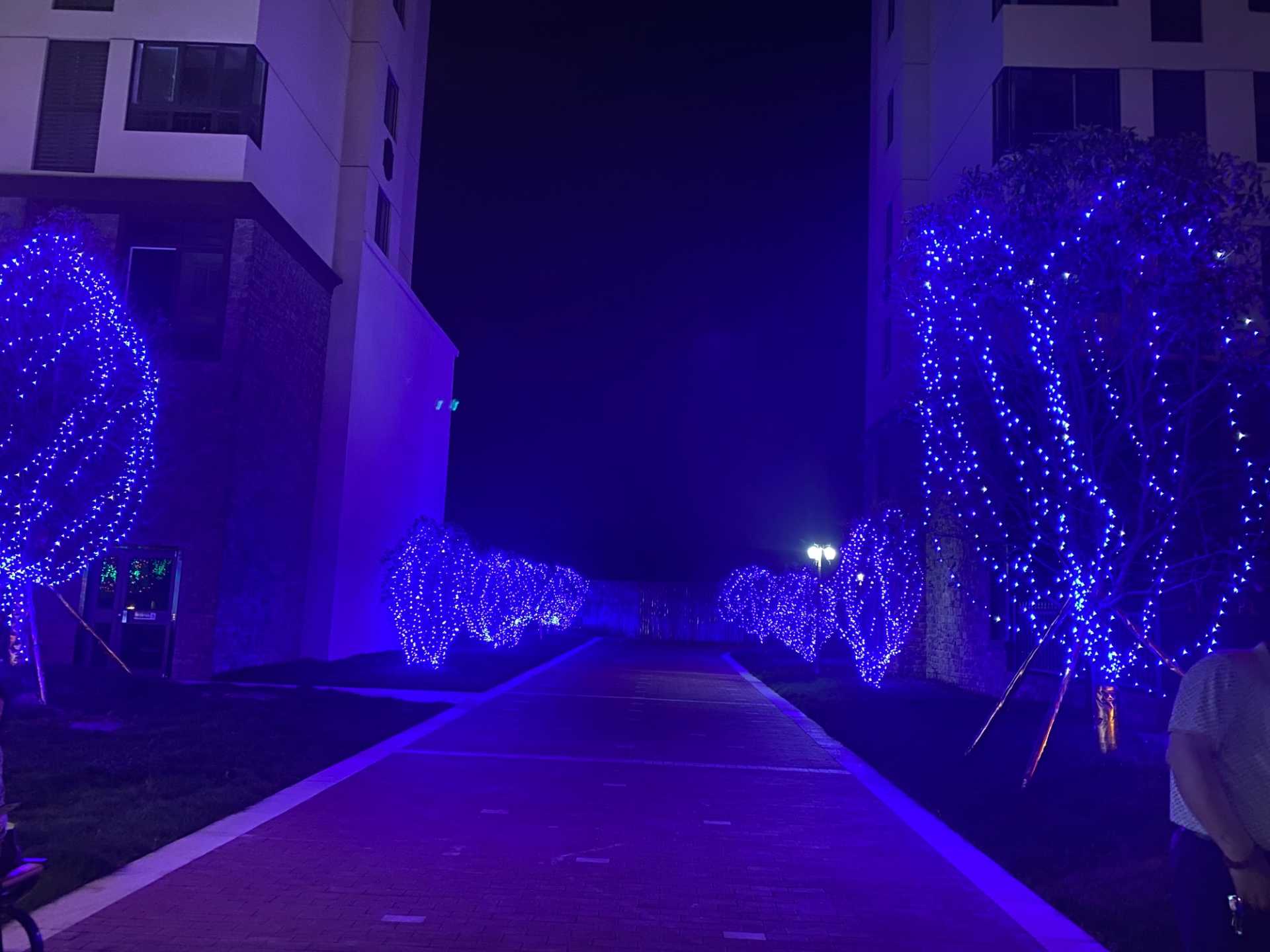772C3B9A-2BB7-4EB1-9564-A3E081F094D0.jpeg