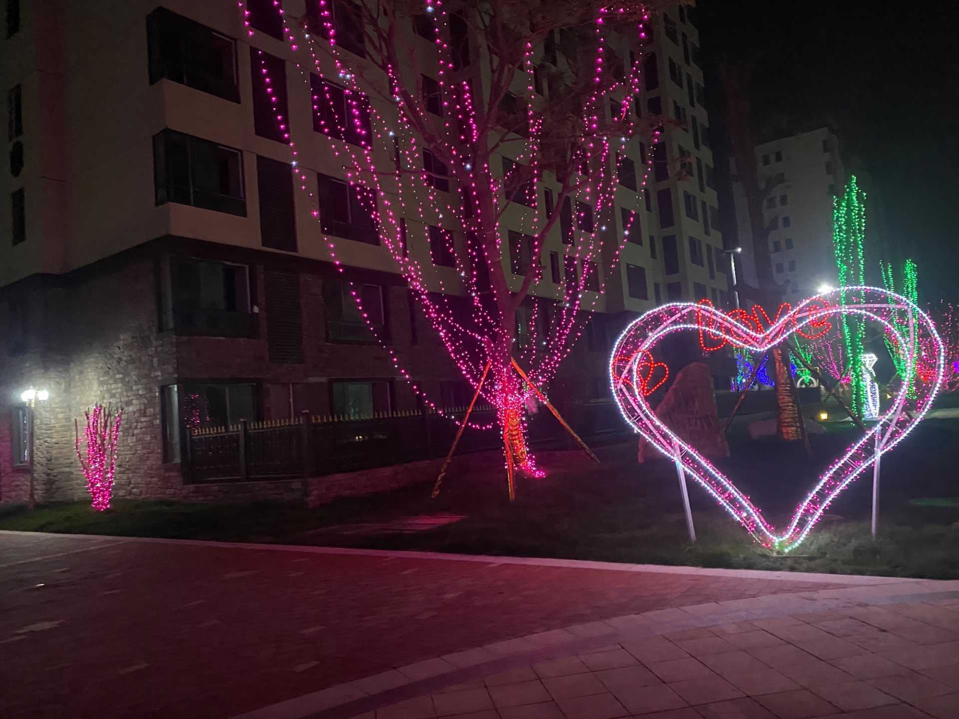 772C3B9A-2BB7-4EB1-9564-A3E081F094D0.jpeg