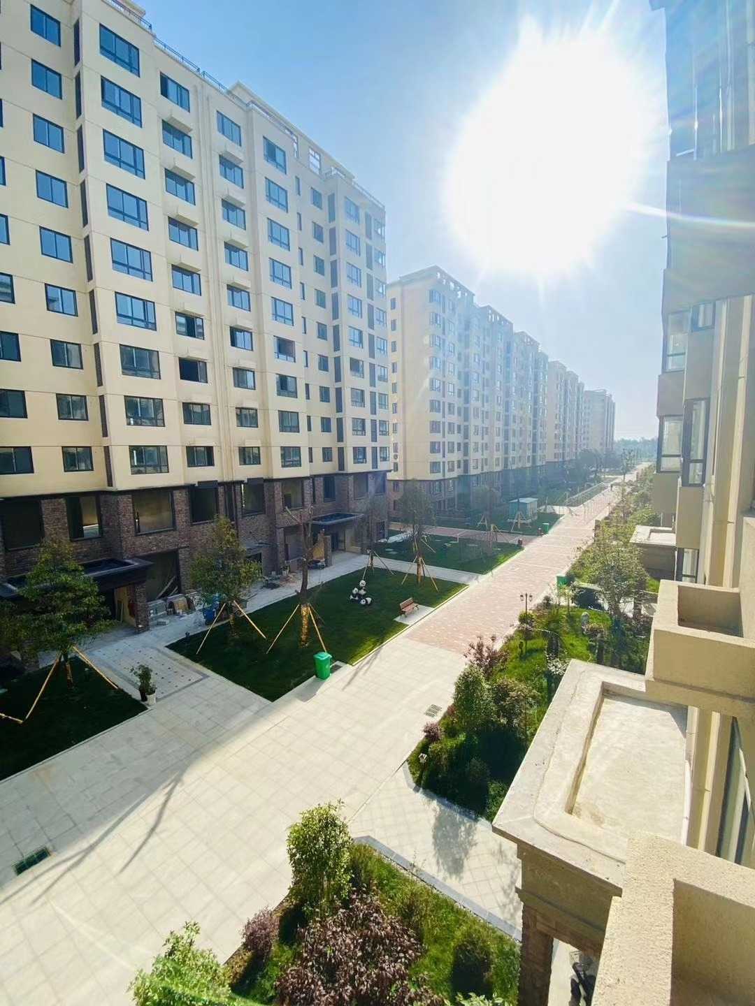 mmexport1588813483698.jpg